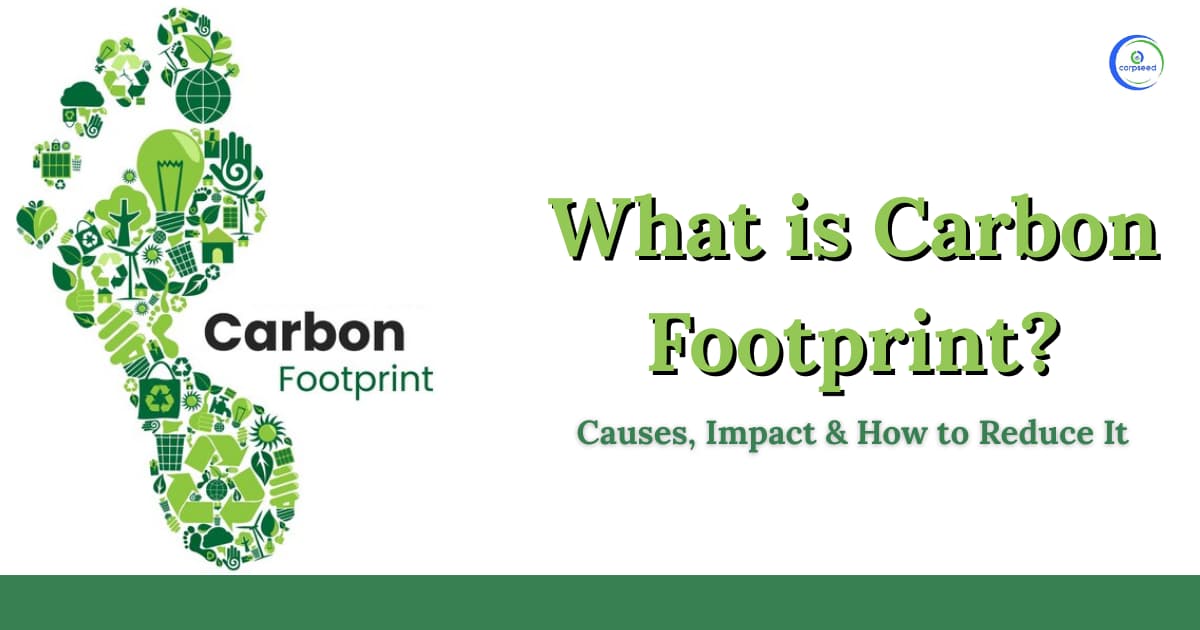 What is Carbon Footprint? Causes, Impact & How to Reduce It