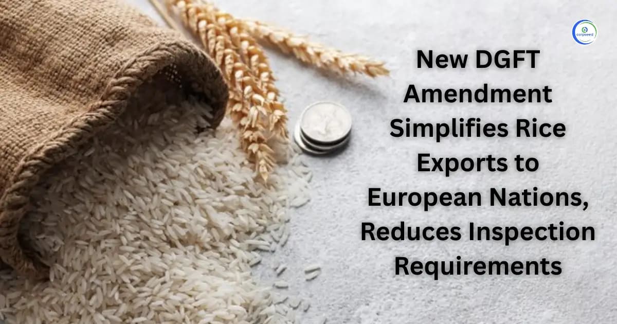 New DGFT Amendment Simplifies Rice Exports to European Nations, Reduces Inspection Requirements