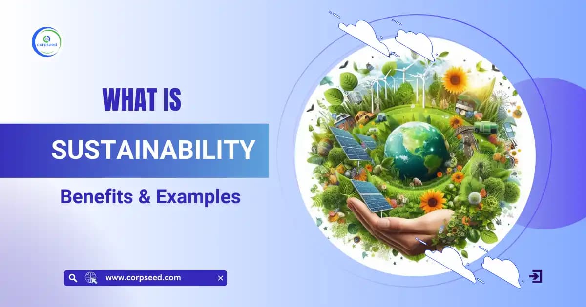 What is Sustainability?