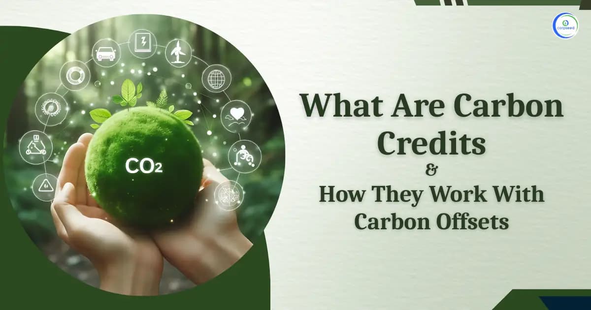 What Are Carbon Credits and How They Work With Carbon Offsets