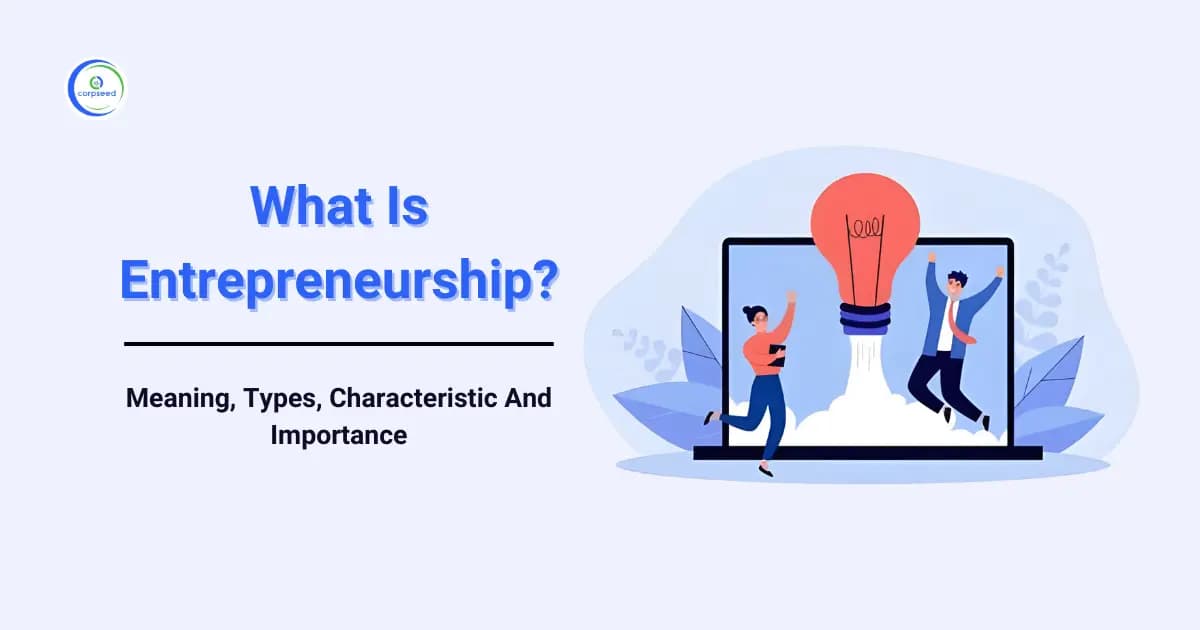 What Is Entrepreneurship? Meaning, Types, Characteristic And Importance