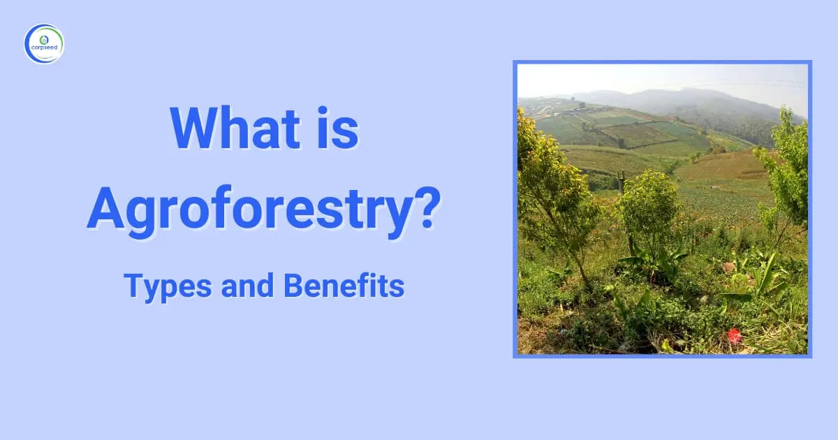 What is Agroforestry?