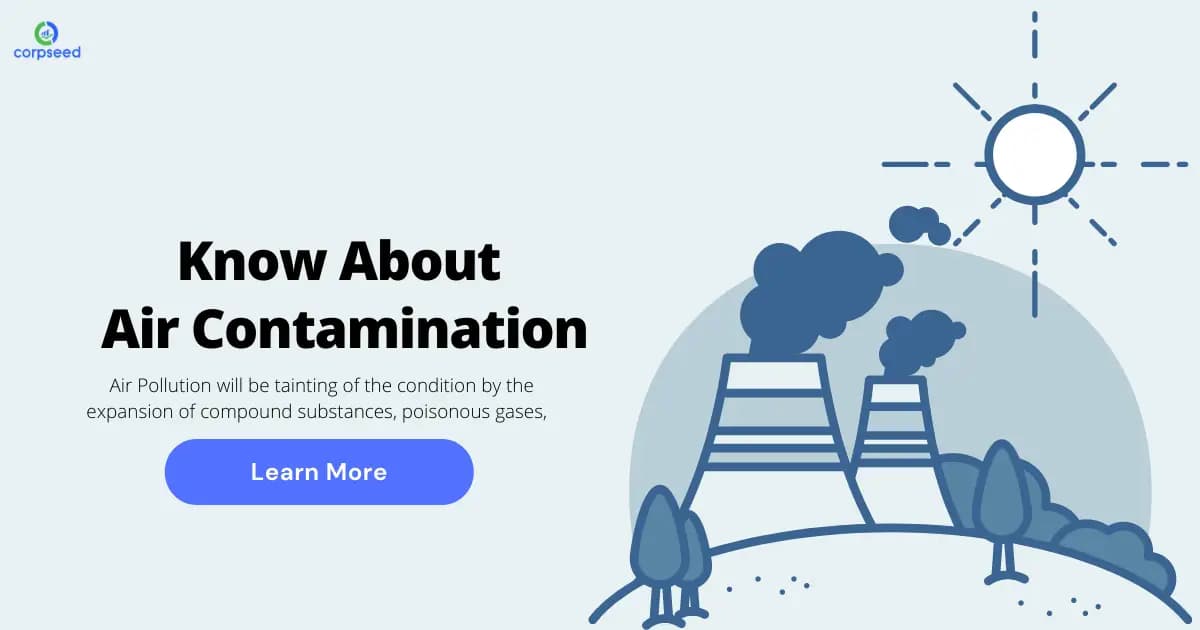 All You Need To Know About Air Contamination