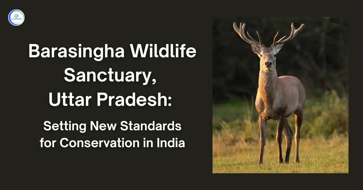Barasingha Wildlife Sanctuary, Uttar Pradesh: Setting New Standards for Conservation in India