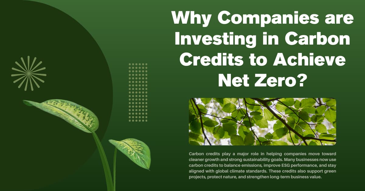 Why Companies are Investing in Carbon Credits to Achieve Net Zero?