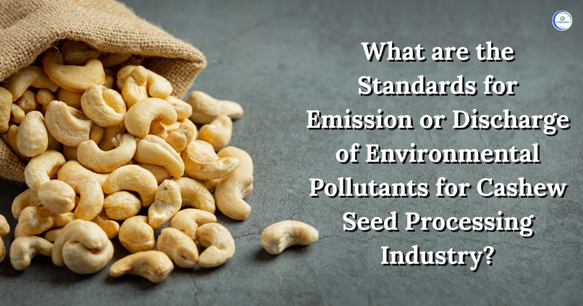 What are the Standards for Emission or Discharge of Environmental Pollutants for Cashew Seed Processing Industry?