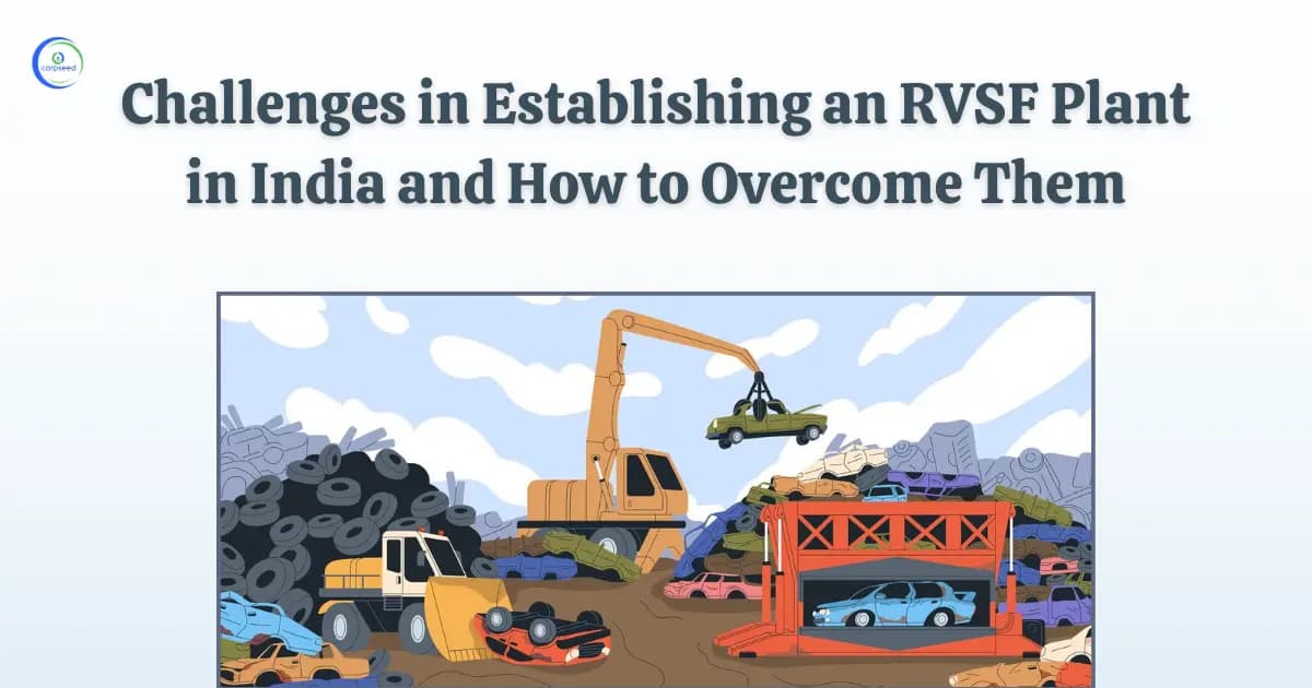 Challenges in Establishing an RVSF Plant in India and How to Overcome Them