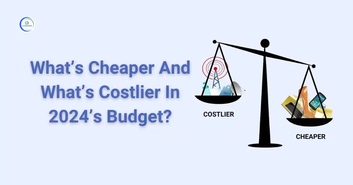 Whatβs Cheaper And Whatβs Costlier In 2024βs Budget?