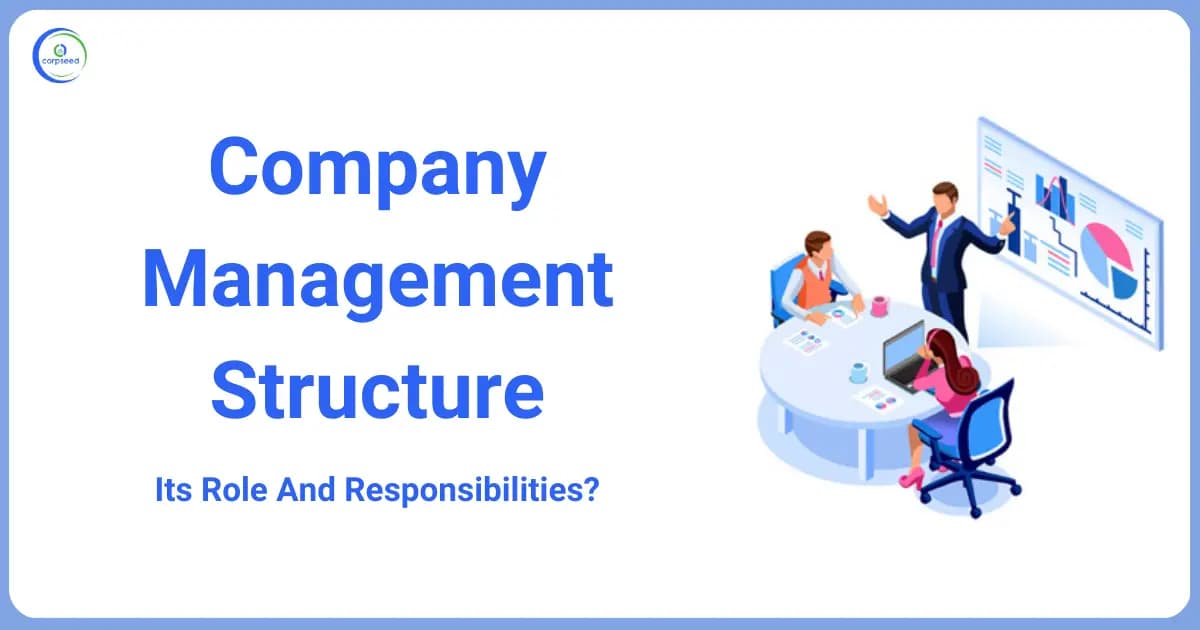 Company Management Structure - Its Role And Responsibilities
