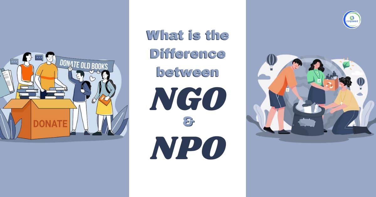 What is the Difference Between an NGO and an NPO?
