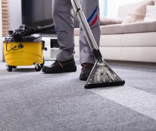 EPR Authorization for Carpet Sweepers