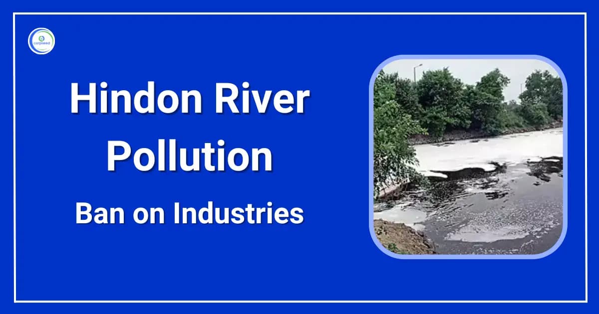 Industries Shut Down for Hindon River Pollution