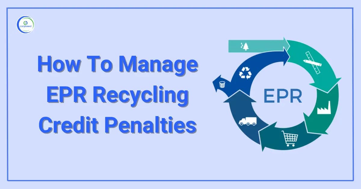 How To Manage EPR Recycling Credit Penalties
