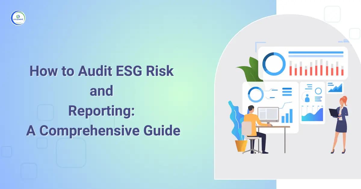 How to Audit ESG Risk and Reporting: A Comprehensive Guide