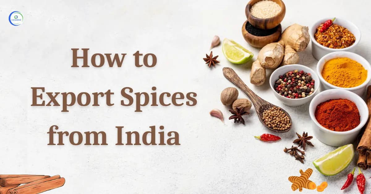 How to Export Spices from India: Complete Process and Documentation Guide