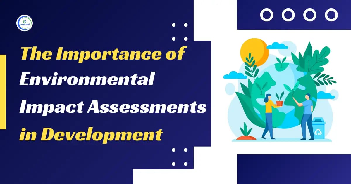 The Importance of Environmental Impact Assessments in Development