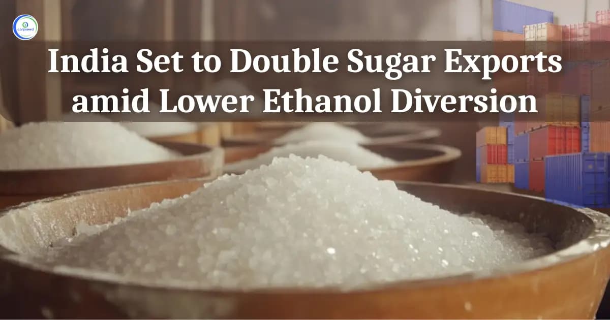 India Set to Double Sugar Exports amid Lower Ethanol Diversion
