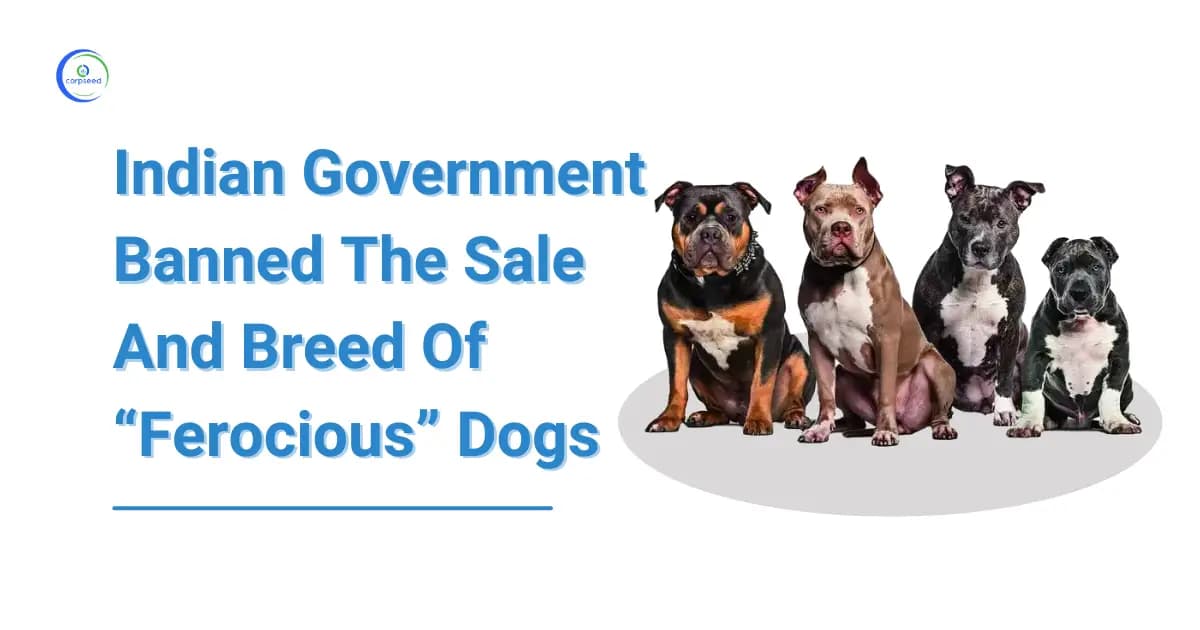Indian Government Banned The Sale And Breed Of “Ferocious” Dogs
