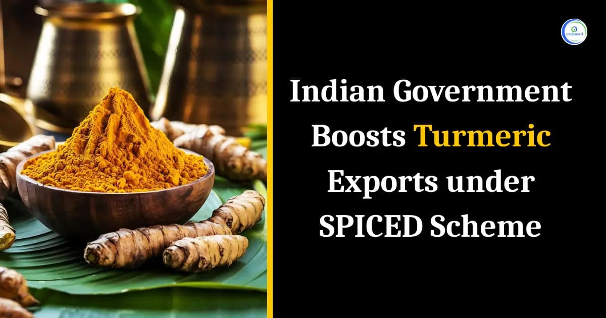 Indian Government Boosts Turmeric Exports under SPICED Scheme