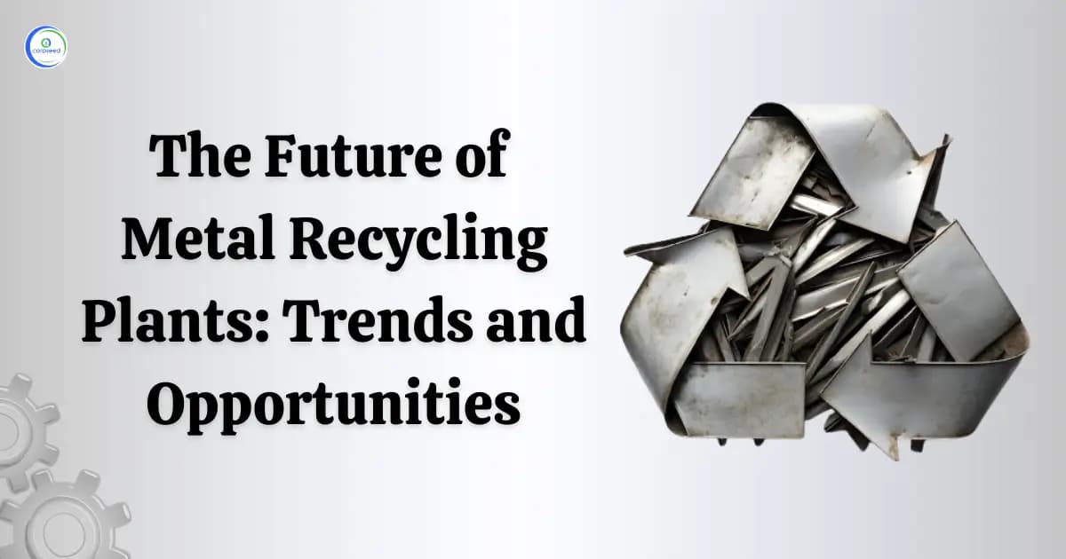 The Future of Metal Recycling Plants: Trends and Opportunities