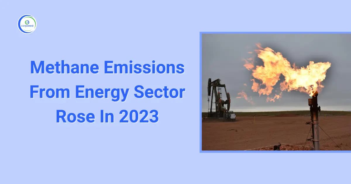 Methane Emissions From Energy Sector Rose In 2023