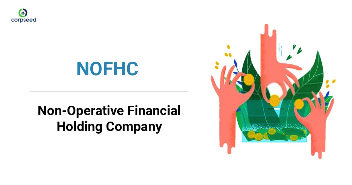 Non-Operative Financial Holding Company (NOFHC) – Concept and Idea to Excel!!