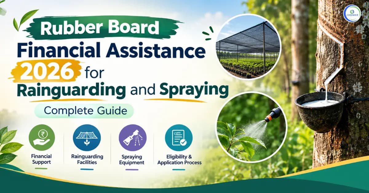 Rubber Board Financial Assistance 2026 for Rainguarding and Spraying: Complete Guide