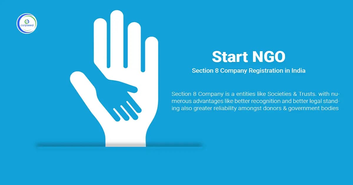 All you need to know about Section 8 Company