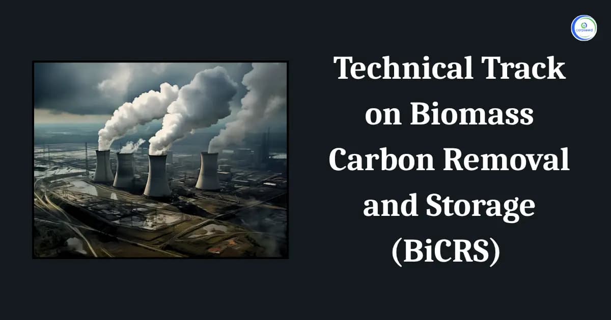 Technical Track on Biomass Carbon Removal and Storage (BiCRS)Â