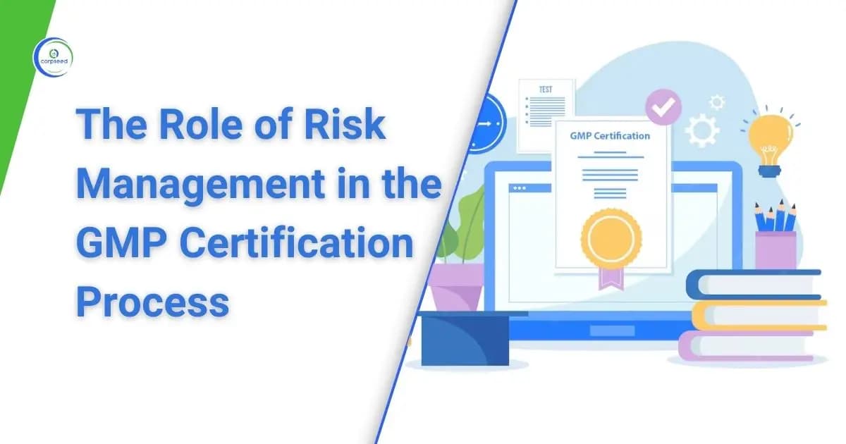 The Role of Risk Management in the GMP Certification Process