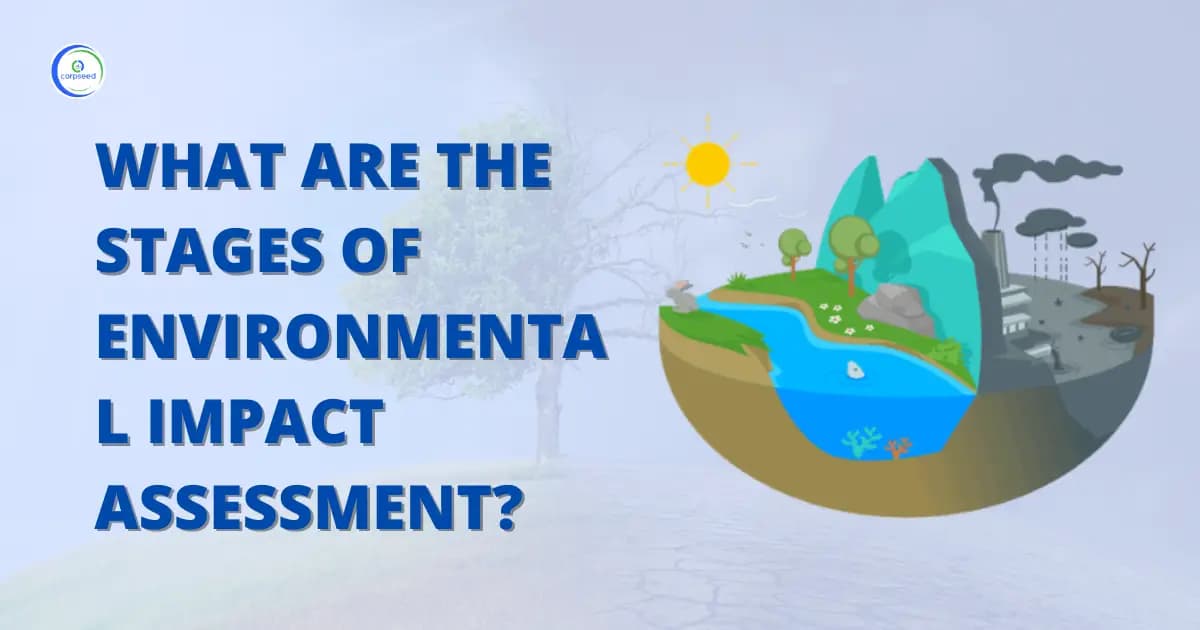 What Are The Stages Of Environmental Impact Assessment?
