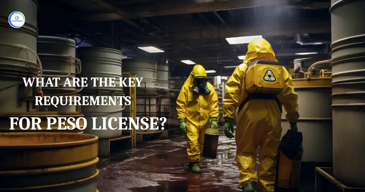 What Are The Key Requirements For PESO License?