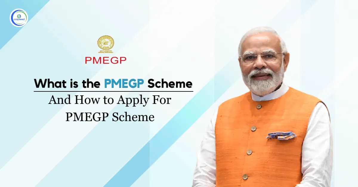 What is the PMEGP Scheme and How to Apply For PMEGP Scheme